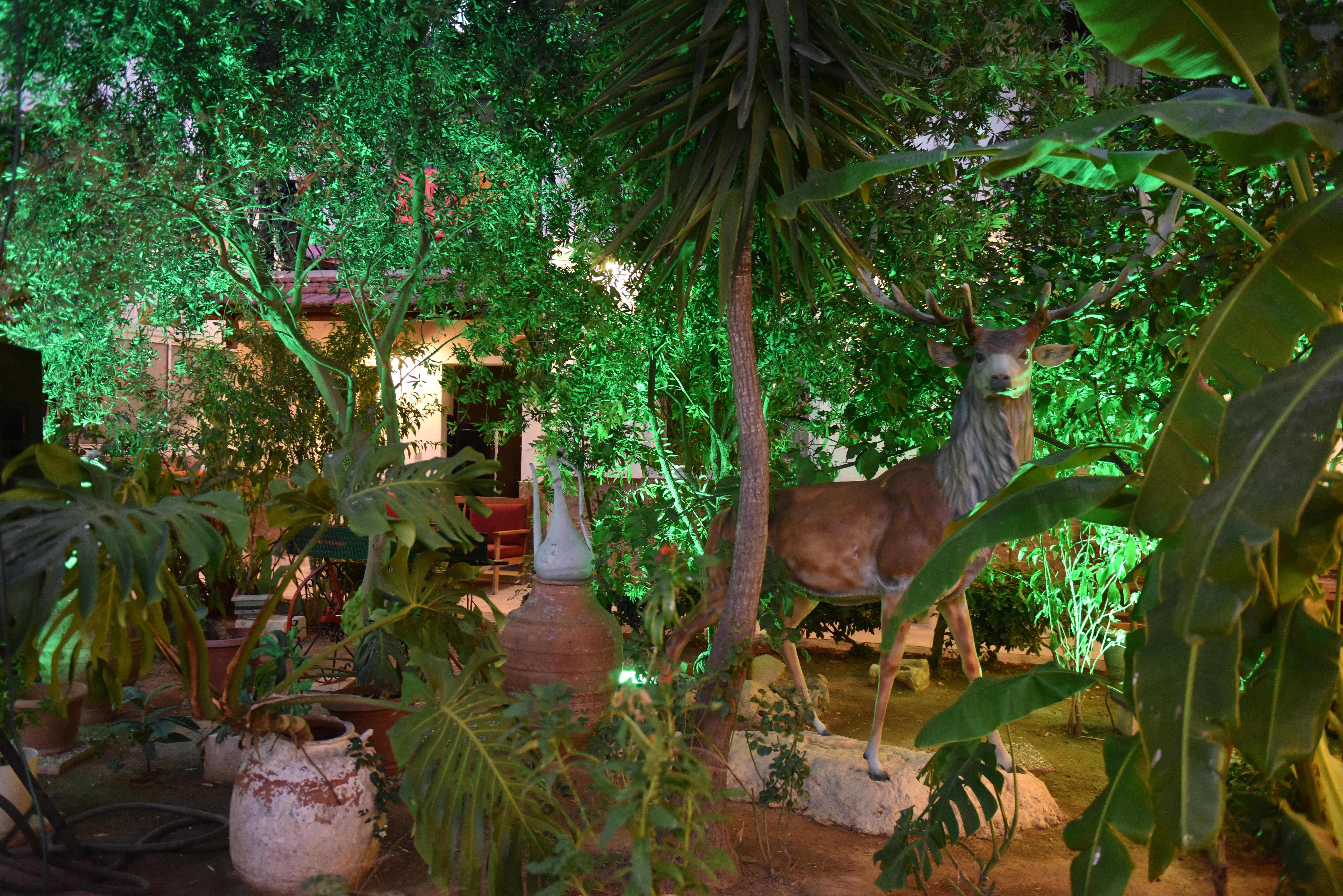 Istankoy Hotel Bodrum Exteriér fotografie